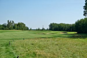 Northern Bear 2nd Fescue